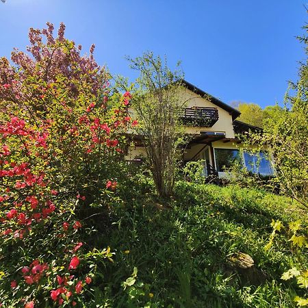 Casa De Sub Padure Hotel Bran  Bagian luar foto