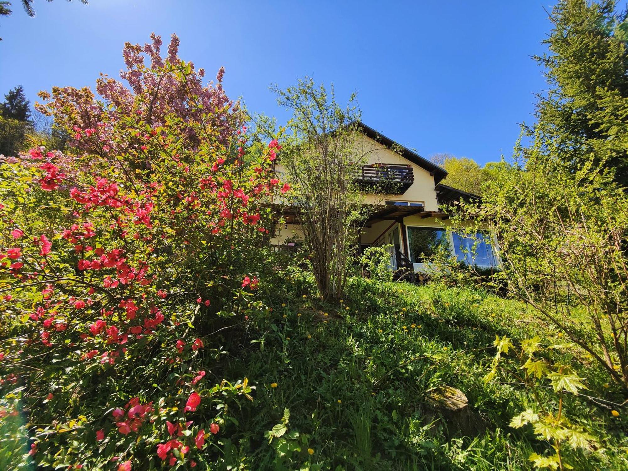 Casa De Sub Padure Hotel Bran  Bagian luar foto